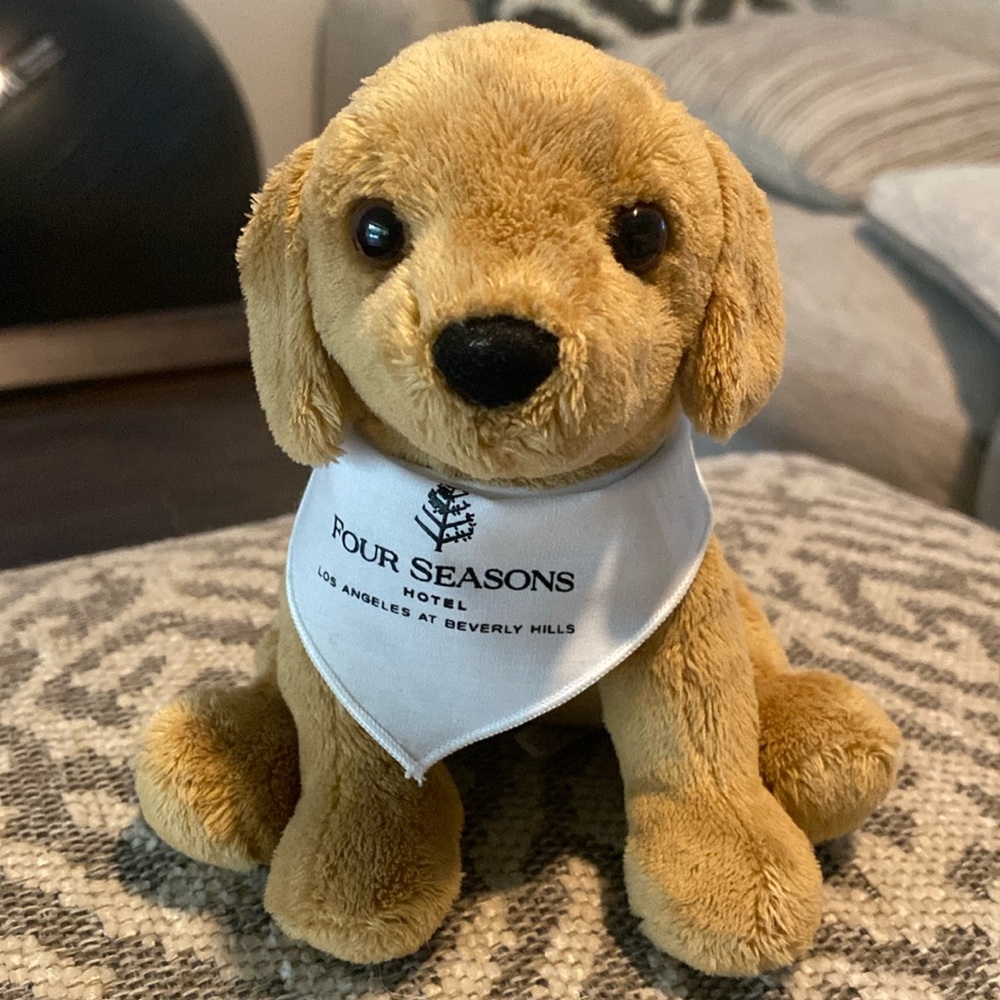 Four Seasons Beverly Hills California, Douglas Cuddle dog 2022